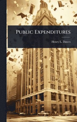 bokomslag Public Expenditures