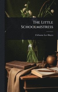 bokomslag Little Schoolmistress