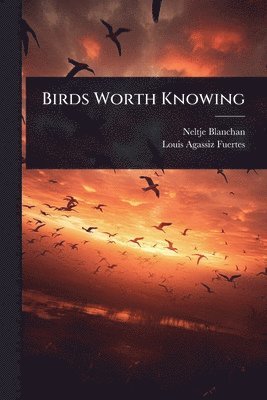 bokomslag Birds Worth Knowing