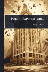 bokomslag Public Expenditures
