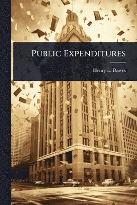 bokomslag Public Expenditures