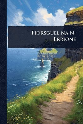 bokomslag Fiorsguel na N-Errione