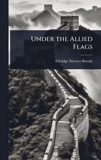 bokomslag Under the Allied Flags
