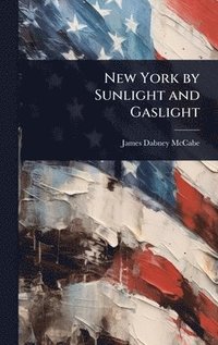 bokomslag New York by Sunlight and Gaslight