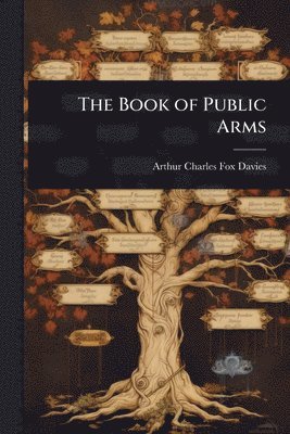 bokomslag Book of Public Arms