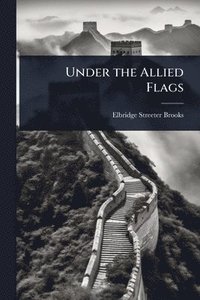 bokomslag Under the Allied Flags