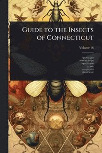 bokomslag Guide to the Insects of Connecticut