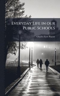 bokomslag Everyday Life in our Public Schools