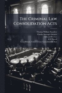 bokomslag Criminal Law Consolidation Acts
