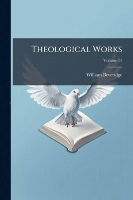 bokomslag Theological Works