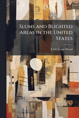 bokomslag Slums and Blighted Areas in the United States