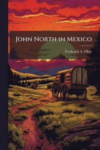 bokomslag John North in Mexico
