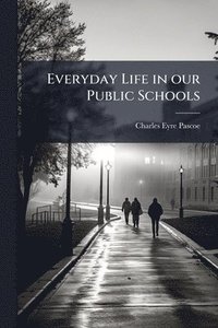 bokomslag Everyday Life in our Public Schools