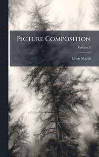 bokomslag Picture Composition