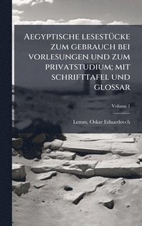 bokomslag Aegyptische lesestÃ1/4cke zum gebrauch bei vorlesungen und zum privatstudium; mit schrifttafel und glossar