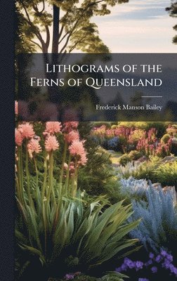 Lithograms of the Ferns of Queensland