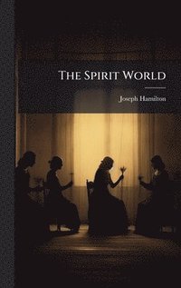 bokomslag Spirit World