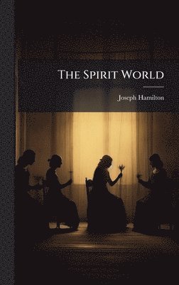 bokomslag Spirit World