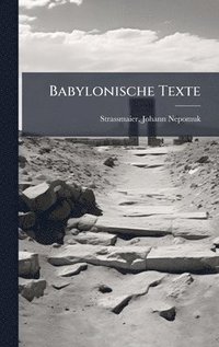 bokomslag Babylonische Texte