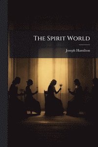 bokomslag Spirit World