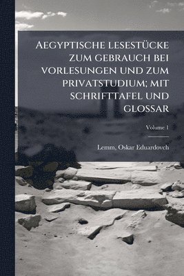 bokomslag Aegyptische lesestÃ1/4cke zum gebrauch bei vorlesungen und zum privatstudium; mit schrifttafel und glossar