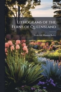 bokomslag Lithograms of the Ferns of Queensland