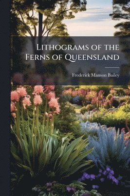 bokomslag Lithograms of the Ferns of Queensland