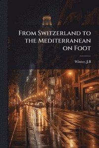 bokomslag From Switzerland to the Mediterranean on Foot
