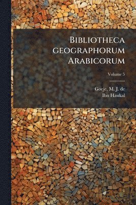 bokomslag Bibliotheca geographorum Arabicorum