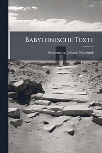 bokomslag Babylonische Texte
