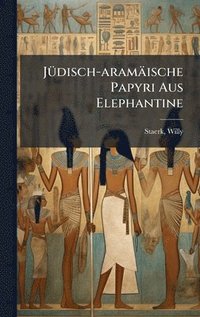 bokomslag JÃ1/4disch-aramäische Papyri Aus Elephantine