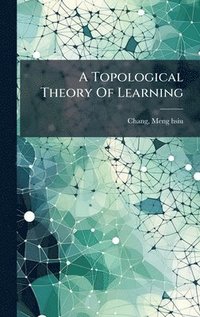 bokomslag Topological Theory Of Learning