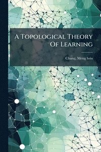 bokomslag Topological Theory Of Learning