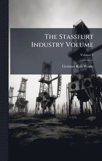 bokomslag Stassfurt Industry Volume