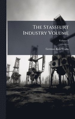 bokomslag Stassfurt Industry Volume