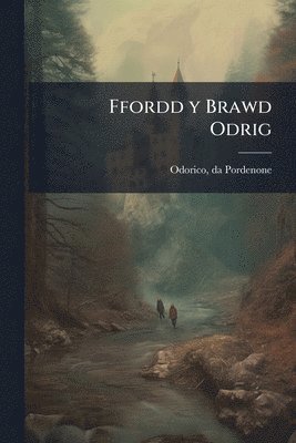 bokomslag Ffordd y Brawd Odrig