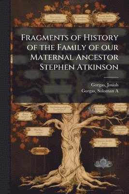bokomslag Fragments of History of the Family of our Maternal Ancestor Stephen Atkinson