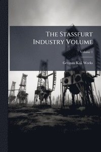 bokomslag Stassfurt Industry Volume