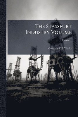 bokomslag Stassfurt Industry Volume