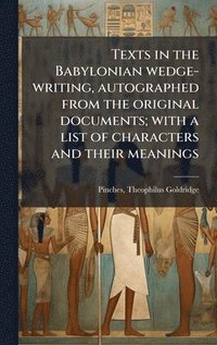 bokomslag Texts in the Babylonian wedge-writing, autographed from the original documents; with a list of characters and their meanings