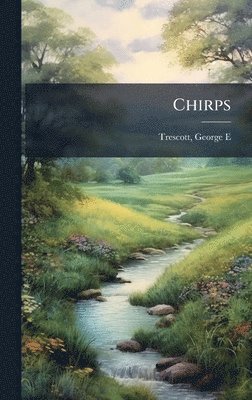 bokomslag Chirps
