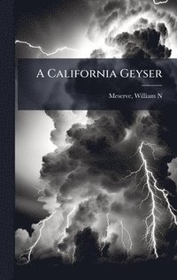 bokomslag California Geyser