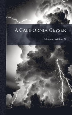 bokomslag California Geyser