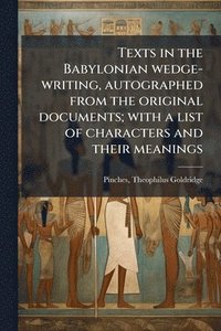 bokomslag Texts in the Babylonian wedge-writing, autographed from the original documents; with a list of characters and their meanings