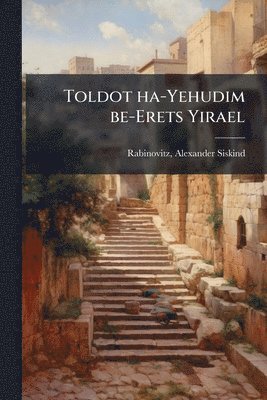 bokomslag Toldot ha-Yehudim be-Erets Yirael