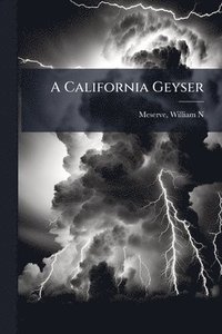 bokomslag A California Geyser