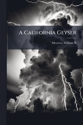 bokomslag A California Geyser