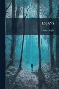 bokomslag Essays