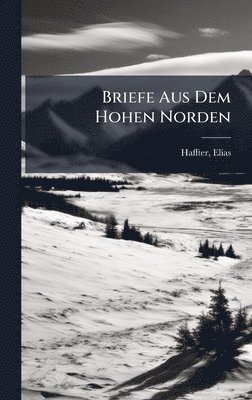 bokomslag Briefe Aus Dem Hohen Norden