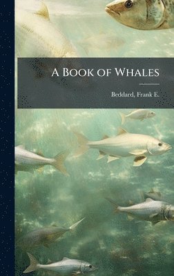 bokomslag Book of Whales
